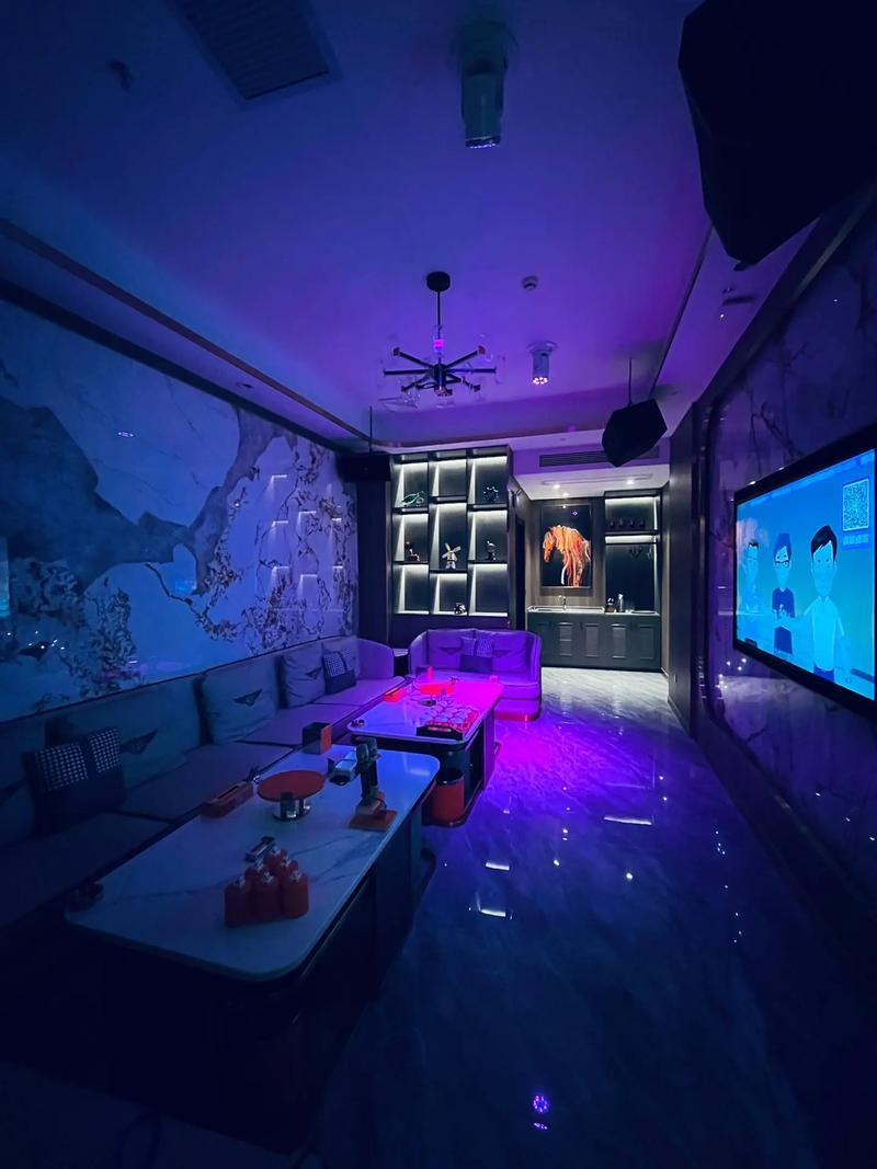 南充商务KTV，畅享不一样的玩法-阆中市ktv预定